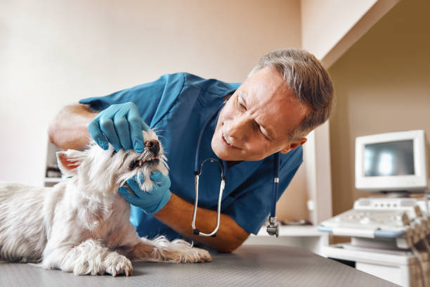 Best Emergency Root Canal Therapy in Bon Secour, AL