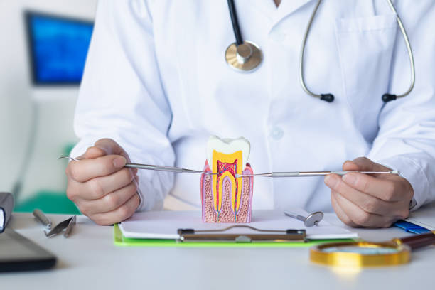 Best Dental Abscess Treatment in Bon Secour, AL